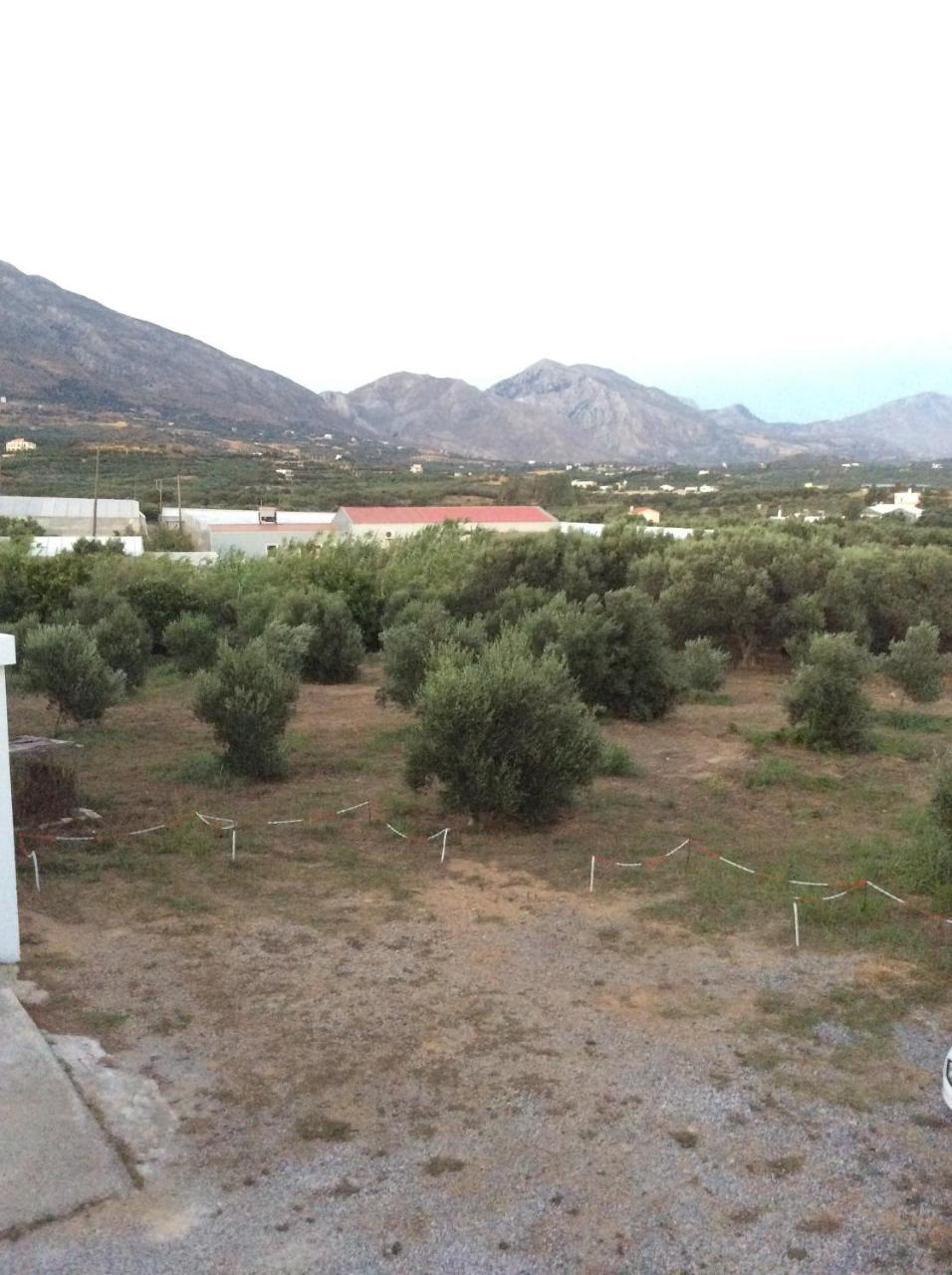 Elena Rooms Plakias Bagian luar foto